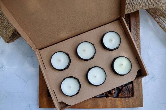 6 - 2 oz Tin Candles - The Wild Collection