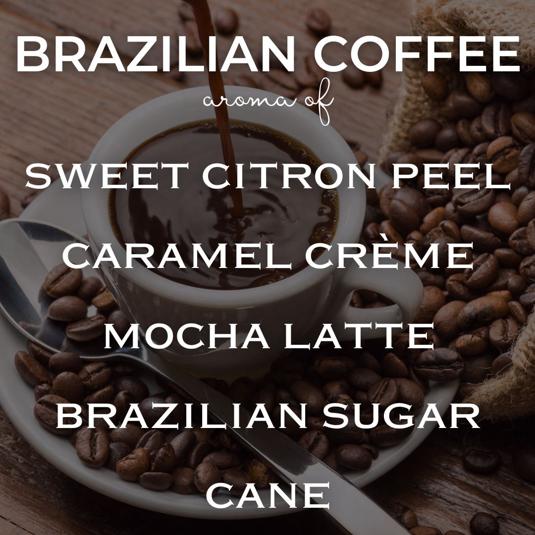 9 oz Fresh Brew Glam Tin | Coconut Soy Candle