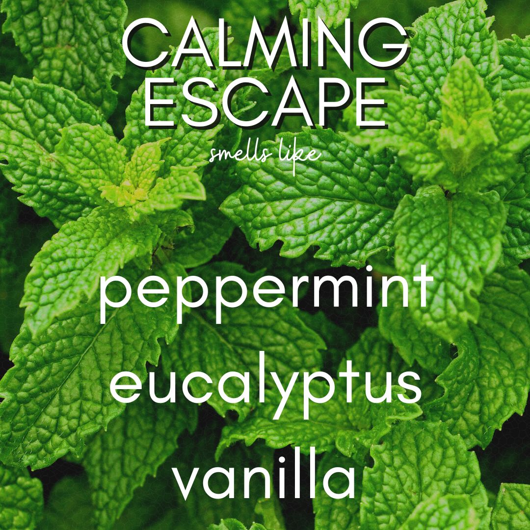 12 oz Calming Escape | Coconut Soy Candle