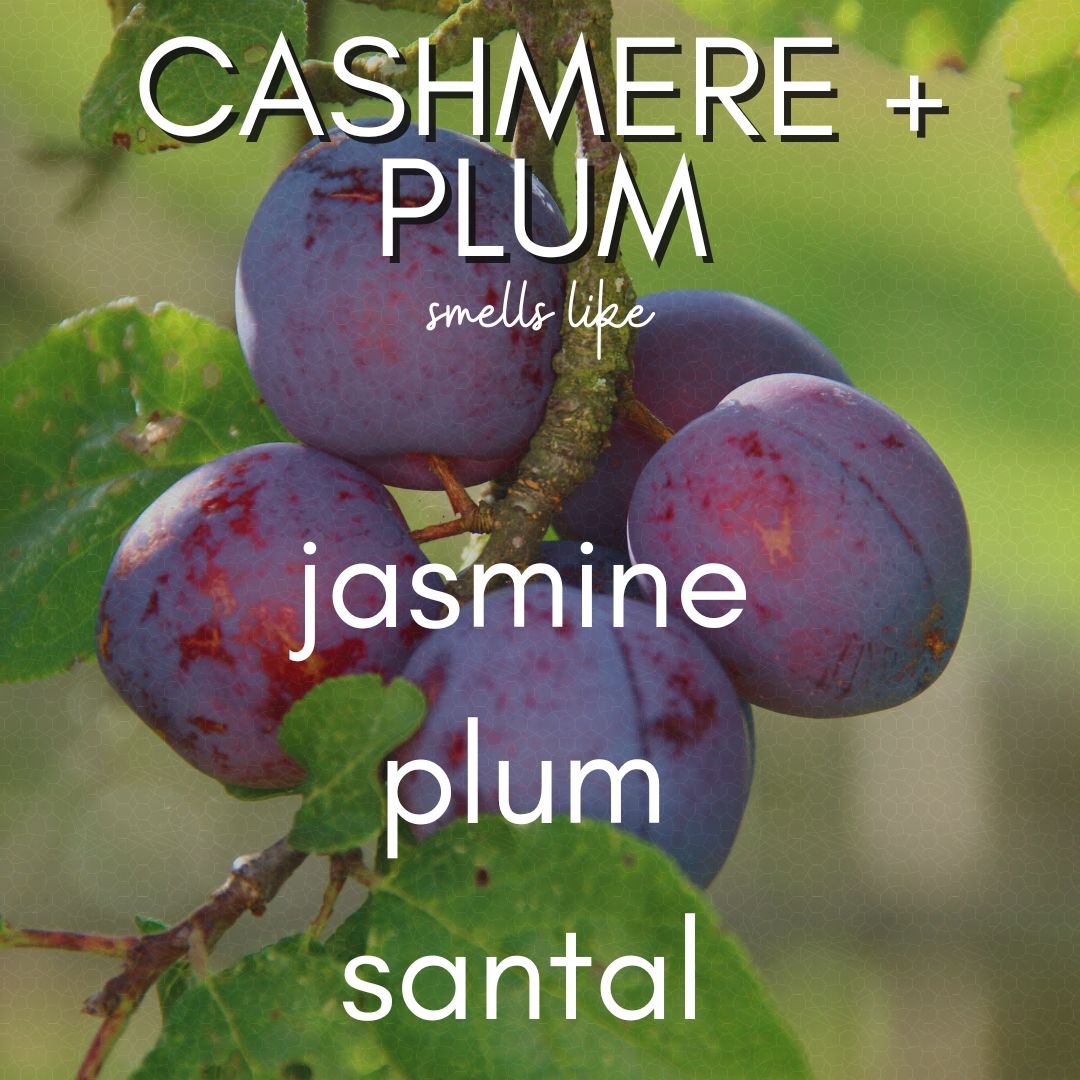 12 oz Cashmere and Plum | Iridescent Jar Coconut Soy Candle