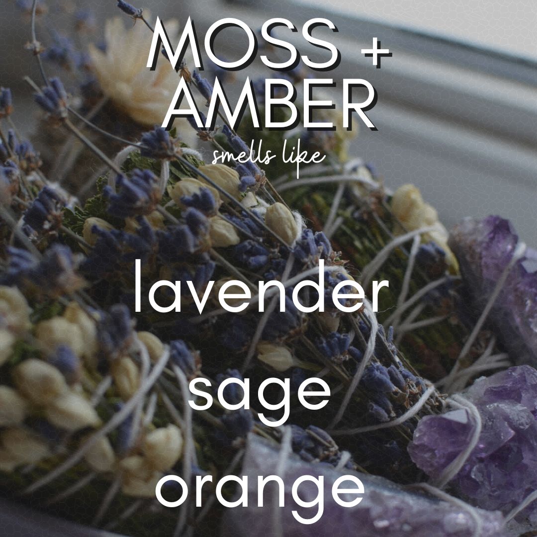 12 oz Moss & Amber | Coconut Soy Candle