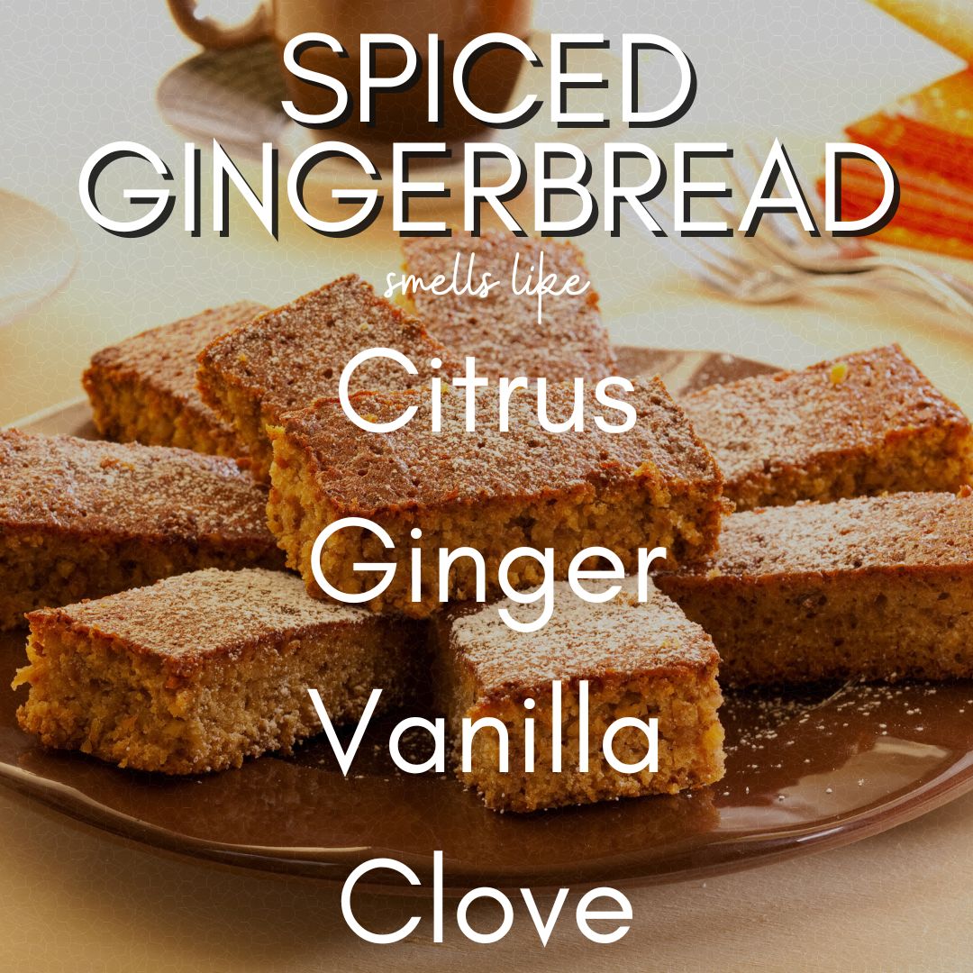 10 oz Spiced Gingerbread | Coconut Soy Candle