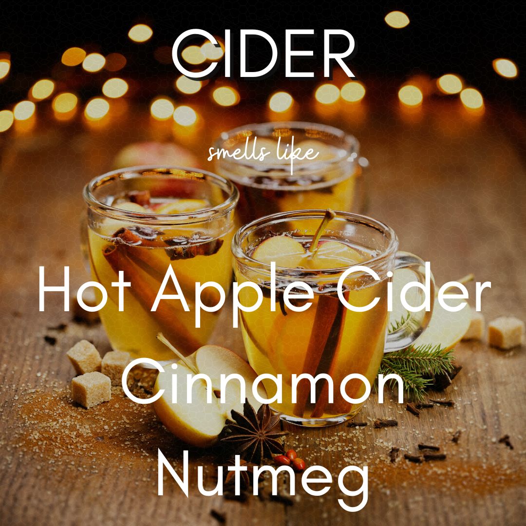 9 oz Cider Glam Tin | Coconut Soy Candle