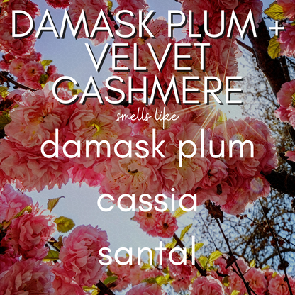 Damask Plum & Velvet Cashmere Fragrance- Coconut Soy Wax Blend Candle Hand Poured in a 13 oz Evermore Jar