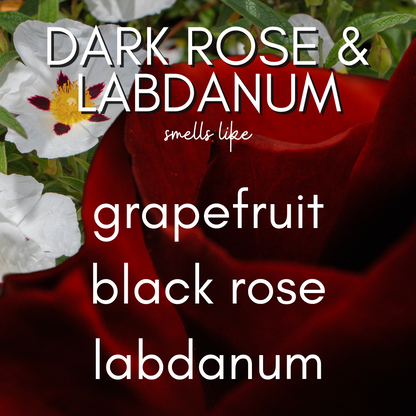 13 oz Dark Rose & Labdanum - Hand Poured, Non-toxic, Coconut Blend Candle- Aura Jar