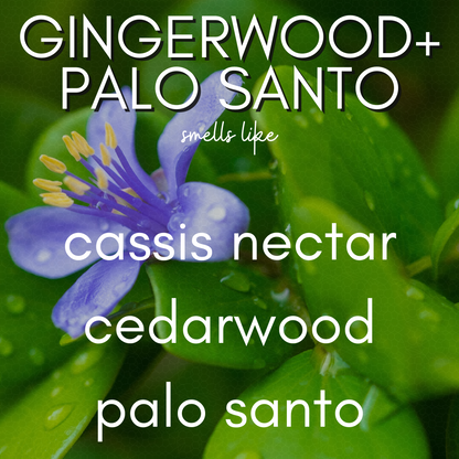 13 oz Gingerwood & Palo Santo - Hand Poured, Non-toxic, Coconut Blend Candle - Aura Jar