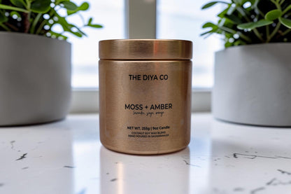9 oz Moss + Amber Glam Tin | Coconut Soy Candle