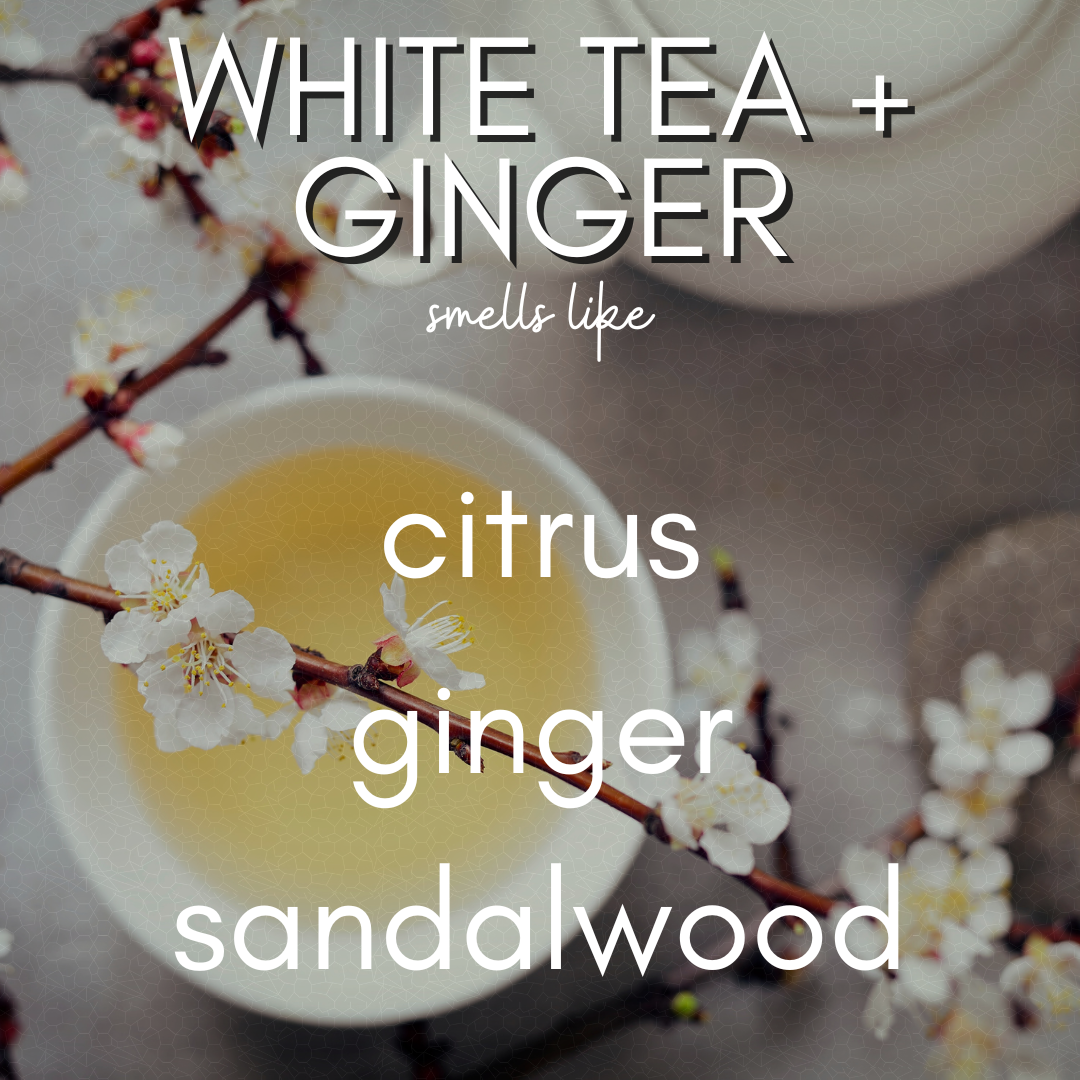 11 oz White Tea + Ginger - Hand Poured, Non-toxic, Coconut Soy Blend Candle- Glass Double Walled Vessel