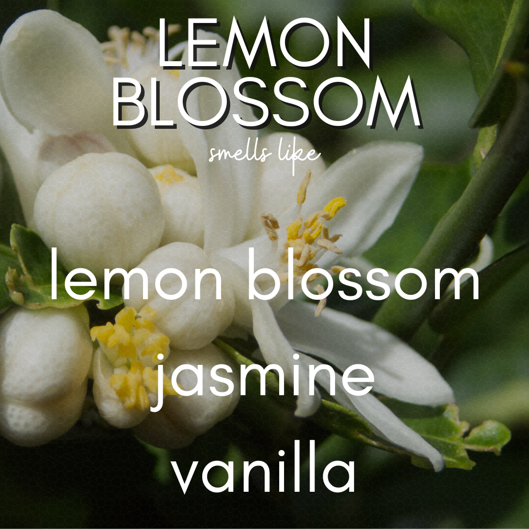 13 oz Lemon Blossom - Hand Poured, Non-toxic, Coconut Soy Wax Blend Candle - Monaco Vessel